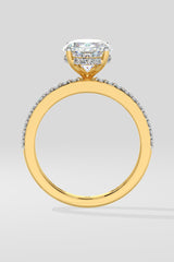 2.5 ct Oval Double Band Ring